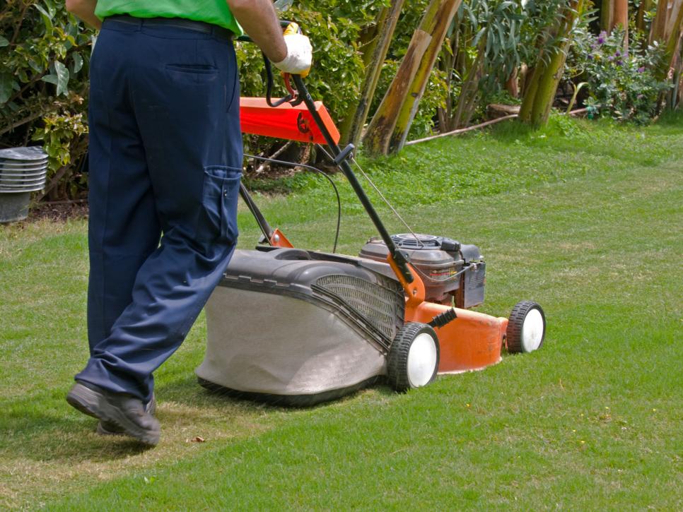 Residential Lawn Mowing Services Edmonton