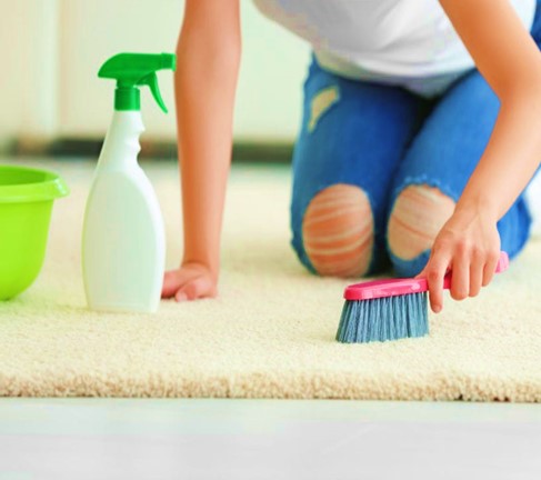 Professional Carpet Cleaning Services Edmonton