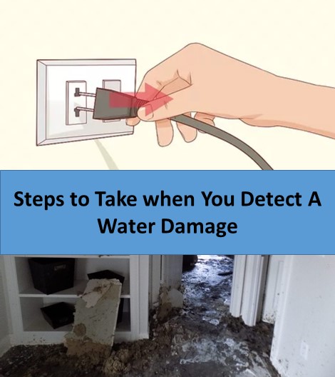 Steps to Take when You Detect a Water Damage