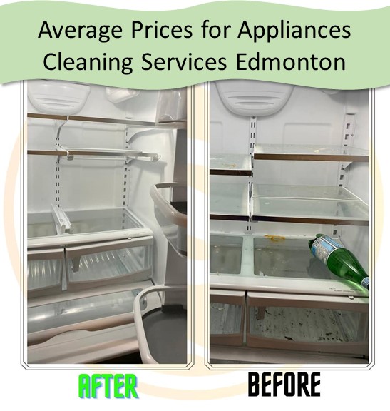 Average Prices for Appliances Cleaning Services Edmonton