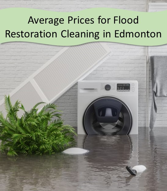 Average Prices for Flood Restoration Cleaning in Edmonton
