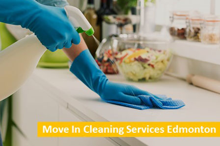 Move In Cleaning Services Edmonton
